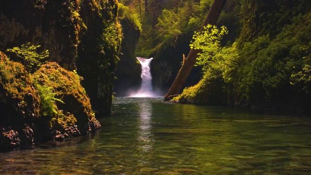 Harp By The Waterfall ➤ Relaxing Harp Music, Water Sounds For Study, Yoga & Deep Sleep