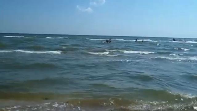 Азовское море исп.Валерий Полинек смотреть онлайн