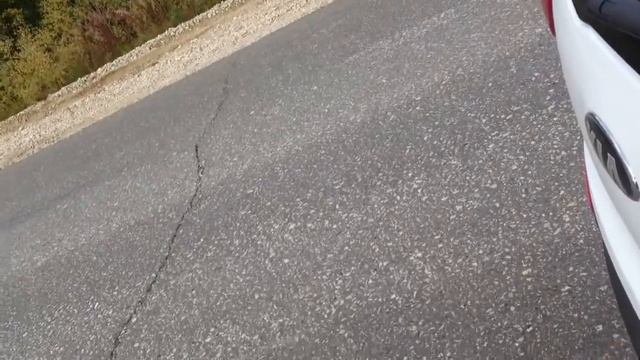 Покормил медведя на дороге печеньками (18+, нецензурная лексика с первой секунды!) смотреть онлайн