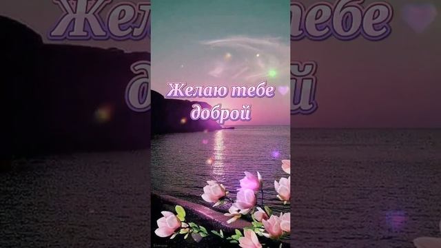 Доброй ночи любимая моя! смотреть онлайн