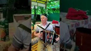 Татарские народные на тальянке.