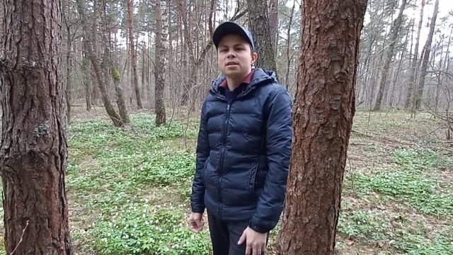 Авторская песня.Ты пишешь мне привет!Автор музыки Солдатов Илья,автор стихов Петров Павел. смотреть онлайн