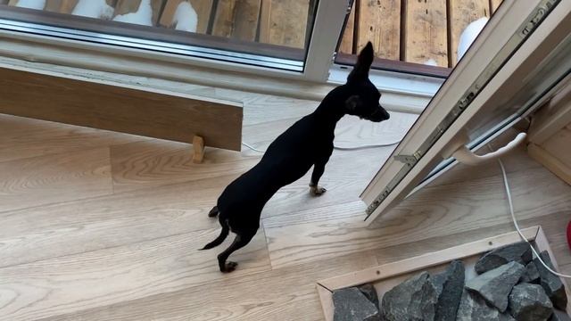 133 ВЛОГ ГЛЭМПИНГ В ЛЕСУ ? СЕКРЕТНОЕ МЕСТО ?ДЛЯ ОТДЫХА? смотреть онлайн