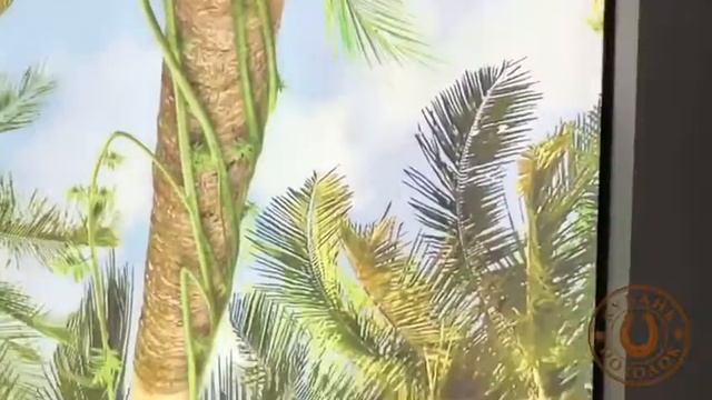 Потолки любой сложности в Краснодаре и крае смотреть онлайн