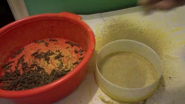 Как я Получаю Пыльцу Ранней Весной Получение Пыльцы смотреть онлайн