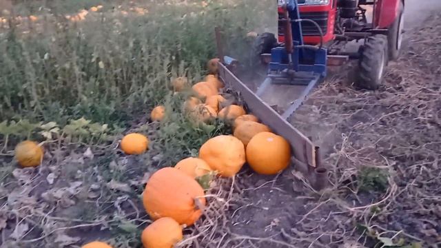 Пробний виїзд на згортання гарбузів смотреть онлайн