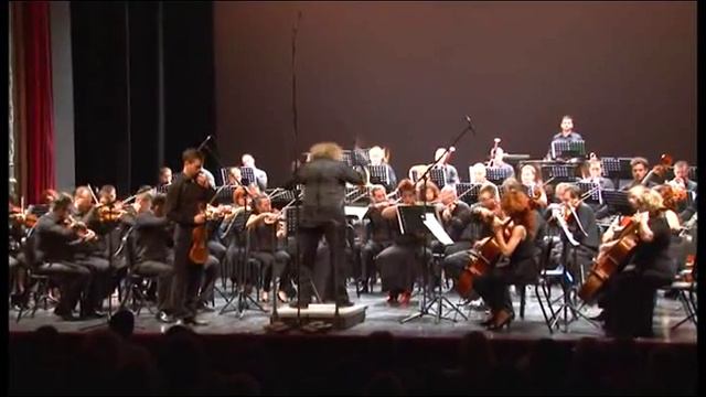 Tchaikovsky: Violin Concerto In D Major, Op.35, 1st, Vojvodina Simphony Orchestra