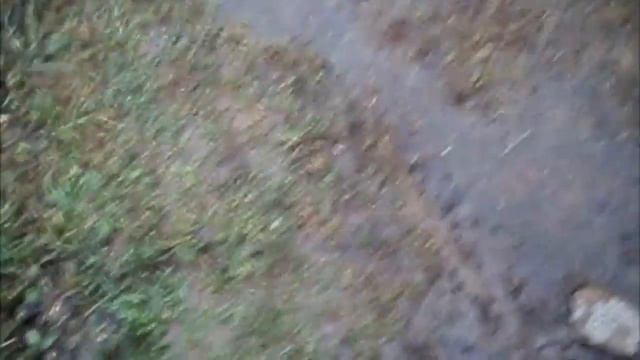 24 Декабря,А снежка то всё нет. смотреть онлайн