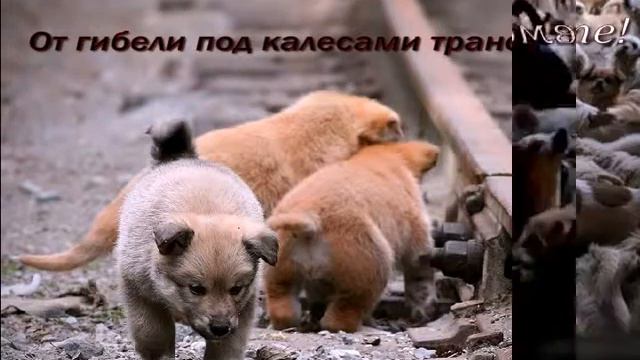 У кого есть сердце-помогите!!! смотреть онлайн