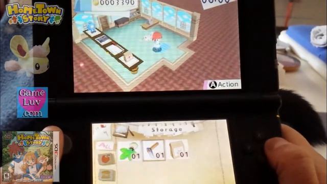 Hometown Story Game Play 2