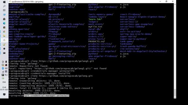 Fatal: Repository Not Found