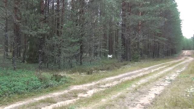 Радиоуправляемый квадрокоптер F 525 (6-axis gyro, 2.4ггц 4ch ) смотреть онлайн