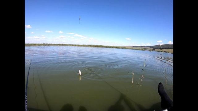 Рыбалка на карася оз Большой Косоголь смотреть онлайн