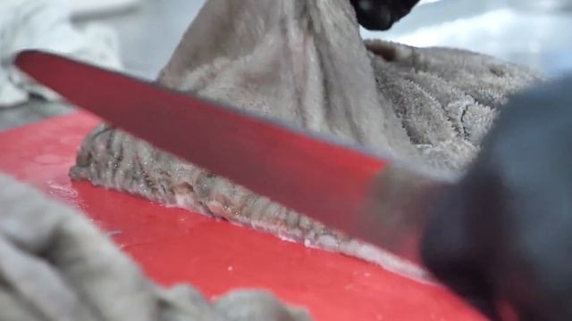 “역대급 신선한 곱창~” 막창, 대창, 시장에서 직접 가져와 모든 재료 준비하는 곱창집 Korean Beef Intestine, Korean Street Food