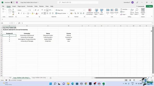 Copy Visible Cells Only When Filtering in Excel смотреть онлайн