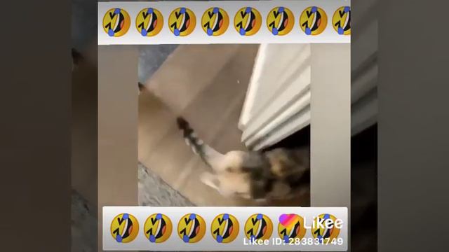 Видео чтобы поднять настроение смотреть онлайн