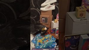 Обзор посылки с Садовода