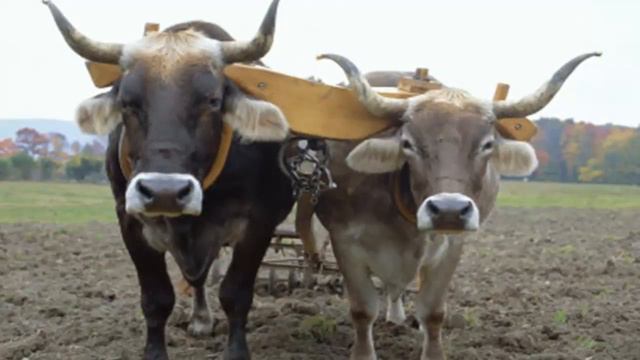 Session 13 - The Life of Christ - Ed Diaz смотреть онлайн