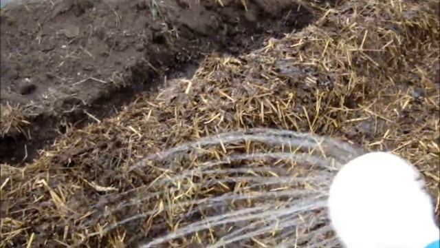 Варианты обогрева теплиц Часть 2  Сельское подворье на Урале