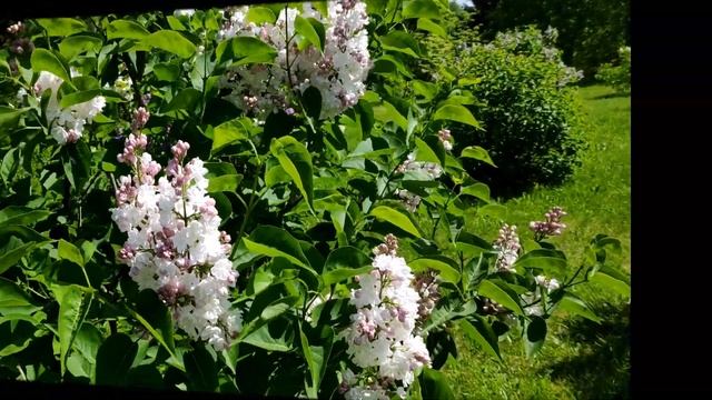 Приглашаем на автобусные экскурсии Национального парка 