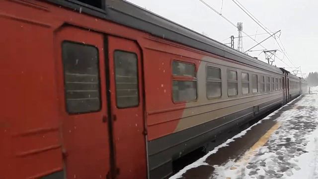 ЭД4М-0365 "Смена" с сообщением: "СПб-Финл. - Сосново" на ст. Осельки смотреть онлайн