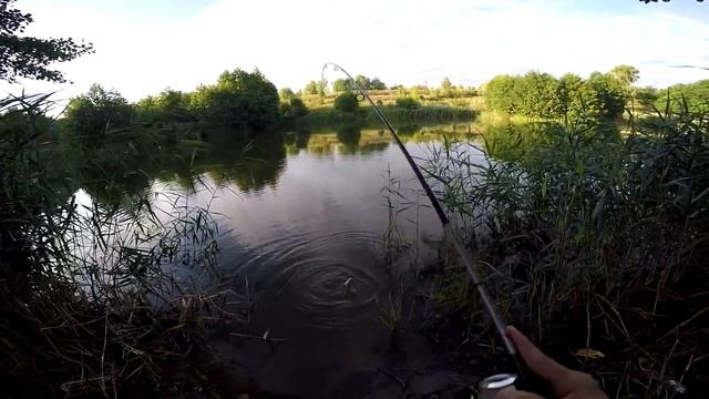 Ловля карася или окуня? Что пошло не так!? смотреть онлайн