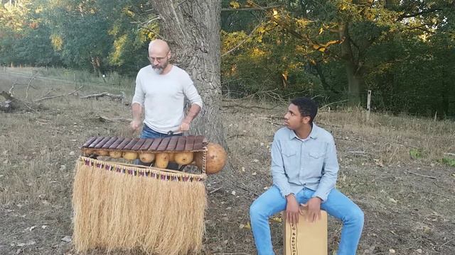 Balafon + Cajon Mogo te maya precious nature смотреть онлайн
