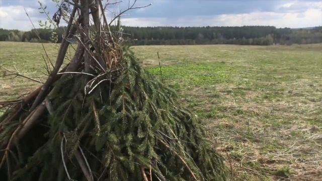 ОХОТА НА ТЕТЕРЕВА. ОХОТА на ТОКУ - смотри и все получится! смотреть онлайн