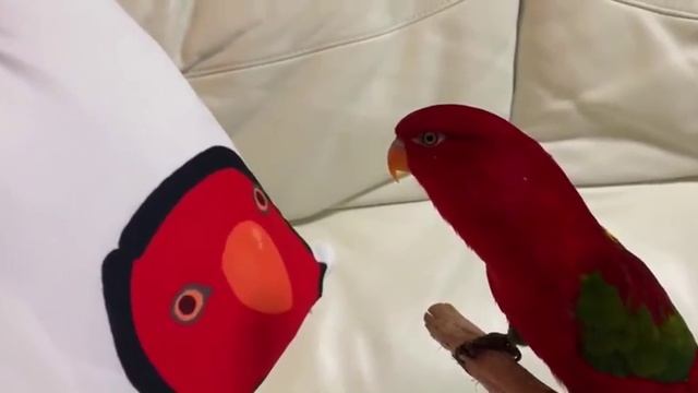 Обидели бедняжкина смотреть онлайн
