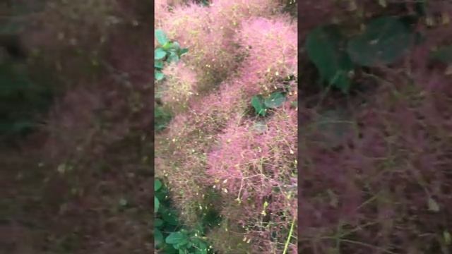 Открой своё сердце для любви☀️ Выйди из темноты? смотреть онлайн