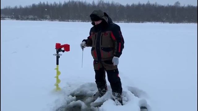 Первая декада января 2021 Чат тур смотреть онлайн