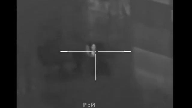 thermal weapon sight смотреть онлайн
