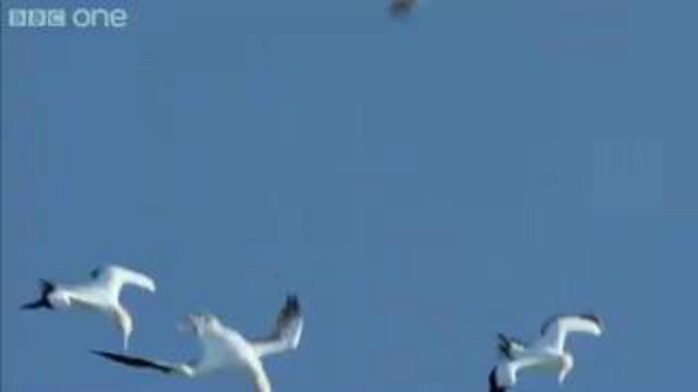 Дух захватывает!!! смотреть онлайн