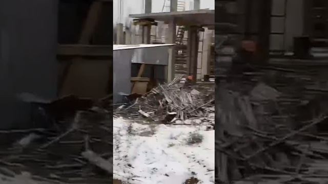 Ярославль волейбольный центр смотреть онлайн