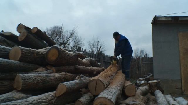 Как из дубовых дров можно сделать дубовые доски