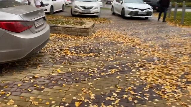 Готовлю суп с пекинской капустой ✨ Еду к стоматологу✨ Уборка в комнате ✨Vlog смотреть онлайн