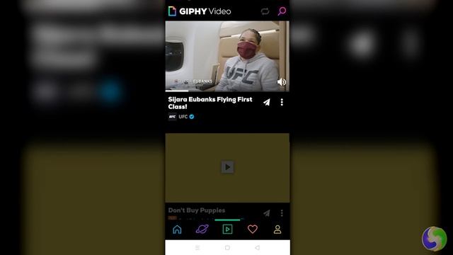 Giphy - Tutorial for Beginners in 7 MINUTES! [ 2020 updated ] смотреть онлайн
