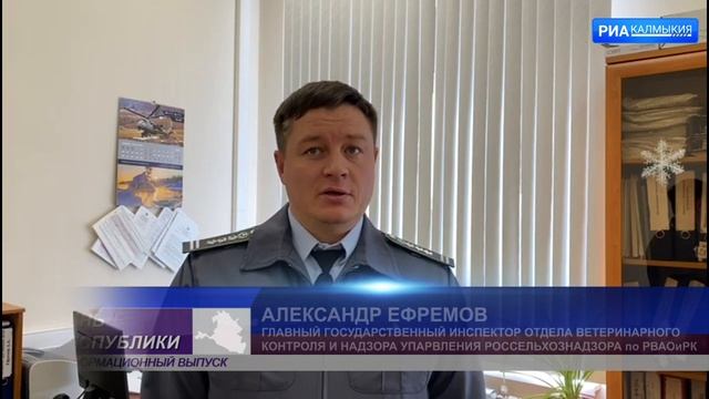 В 2022 году из Калмыкии заграницу было вывезено 12 животных компаньонов смотреть онлайн