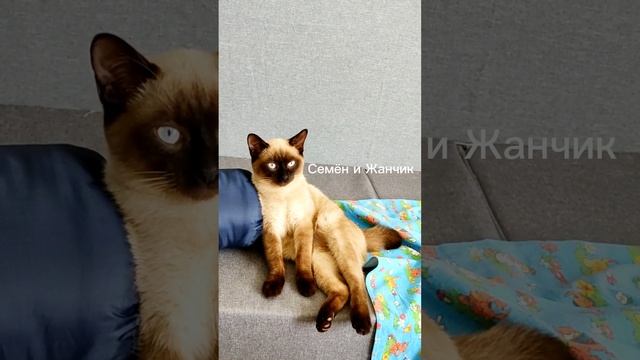 #семенижанчик