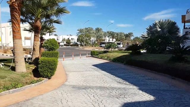 Old Vic Sharm Resort 4* #Египет  #СчастливоеПутешествие Обзор отеля.