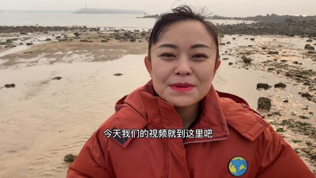 【English Sub】小章赶海扒蛤蜊，一块石头下发现两只超大章鱼，还有拳头大的血蛤【赶海小章】