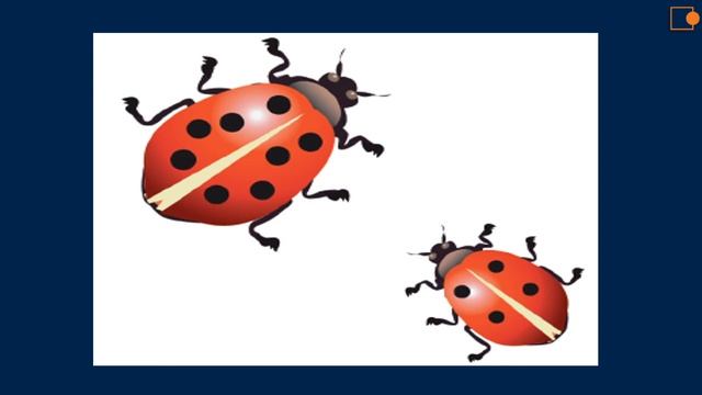 Математика. Сходство и различия предметов. смотреть онлайн