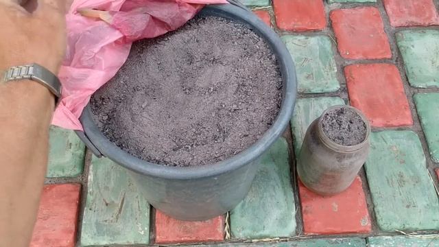 ? ЛУЧШАЯ подкормка винограда для созревания. Где взять 15 кг калия и 6 кг фосфора. Вытяжка из золы смотреть онлайн