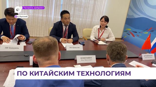 Больницы, дороги и Рудневский мост: известная компания отстроит инфрастуктуру во Владивостоке смотреть онлайн