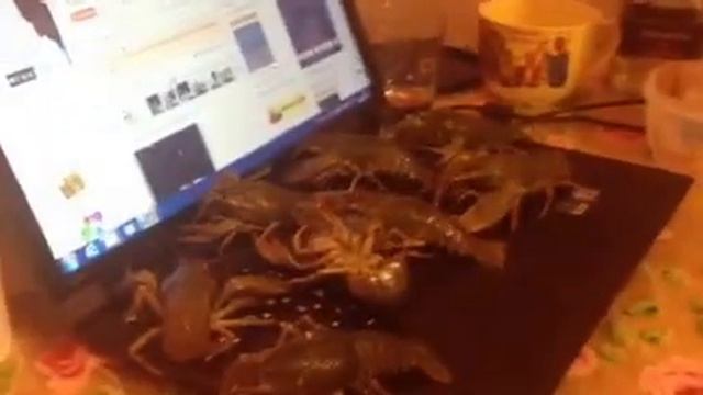 Взломщики Пентагона смотреть онлайн