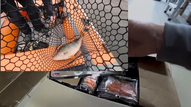 ЭКСКУРСИЯ!!! НА ПРОИЗВОДСТВЕ ОТЕЧЕСТВЕННЫХ ПРИМАНОК YUMMY!! смотреть онлайн