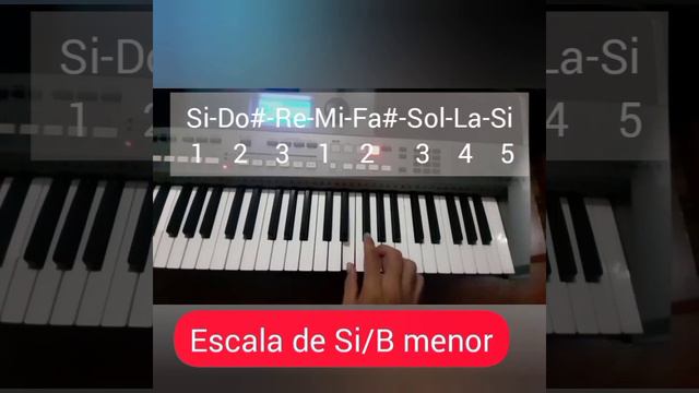 Escala de Si menor Bm tutorial piano смотреть онлайн