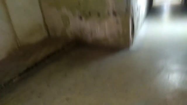 В подвале МСЧ №9 в Перми обнаружили катакомбы, как в фильме ужасов смотреть онлайн