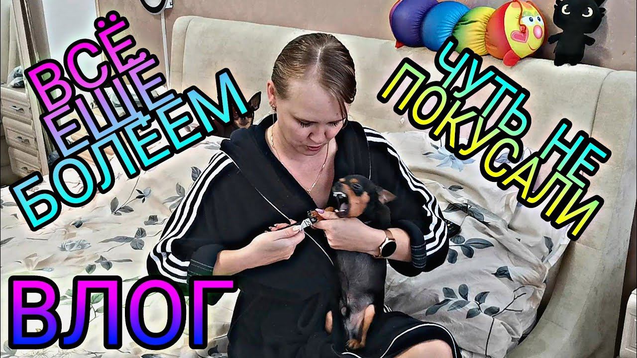 ВЛОГ. Чуть не покусали, обстригаю ногти тойчикам, продолжаем болеть. смотреть онлайн