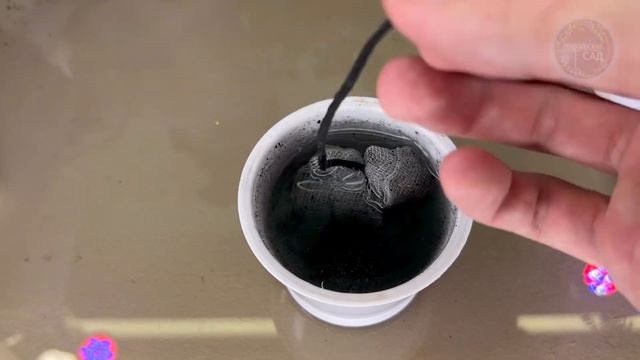 Сам Офигел! Все Семена Дружно Прорастают и Не Болеют Вообще! Крепкие Всходы смотреть онлайн